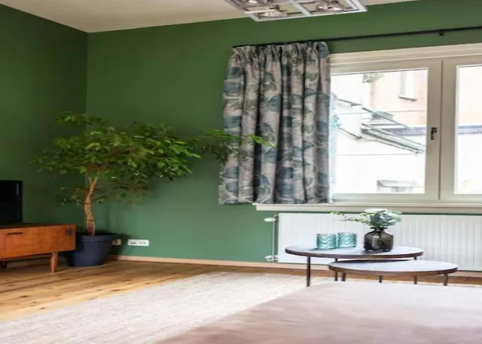 Huiselijke Triplex Op Het Zuid
