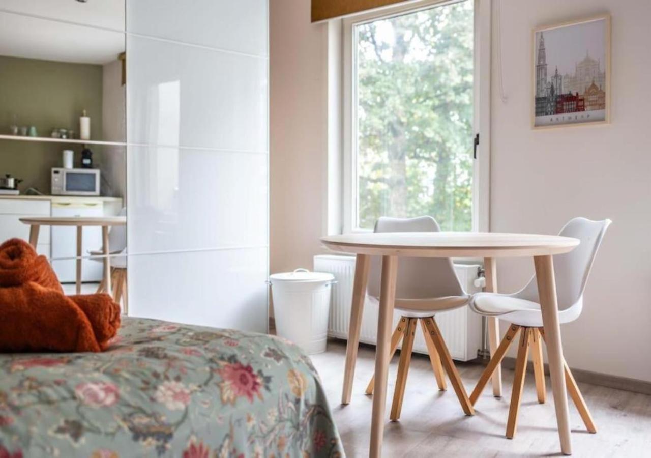Huiselijke Triplex Op Het Zuid Amberes