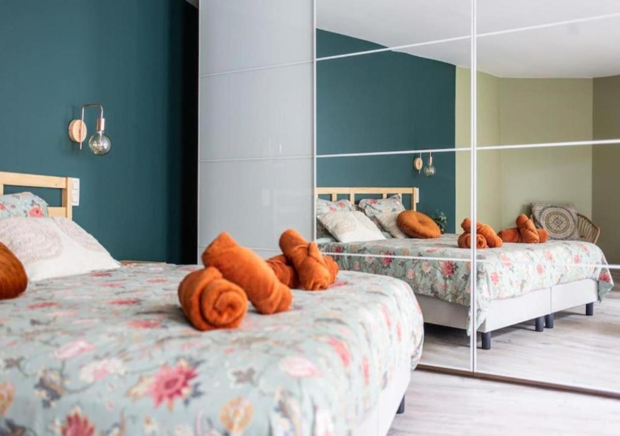 Huiselijke Triplex Op Het Zuid Amberes